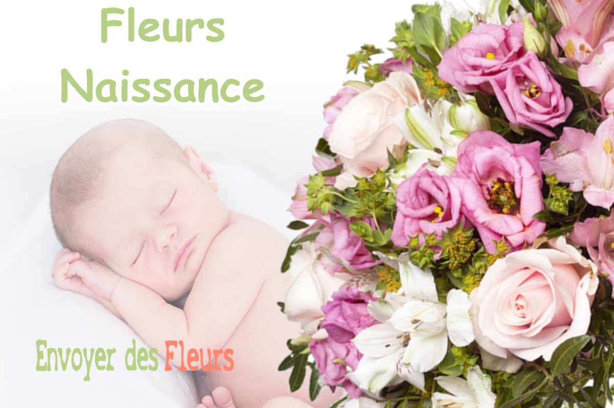 lIVRAISON FLEURS NAISSANCE à ECHIROLLES